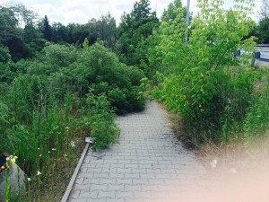 Znikające ścieżki rowerowe w Czechach.