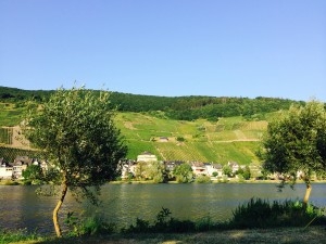 Taki sobie widoczek na Mosel