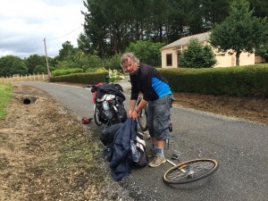 Buen Camino, Peregrino