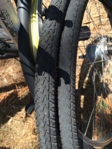 Tylko ja nie do zdarcia